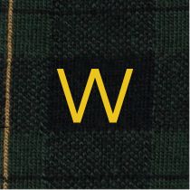 Calze Blu Check Verdi Uomo - Cotone Stretch - Taglia 40/45 - 523