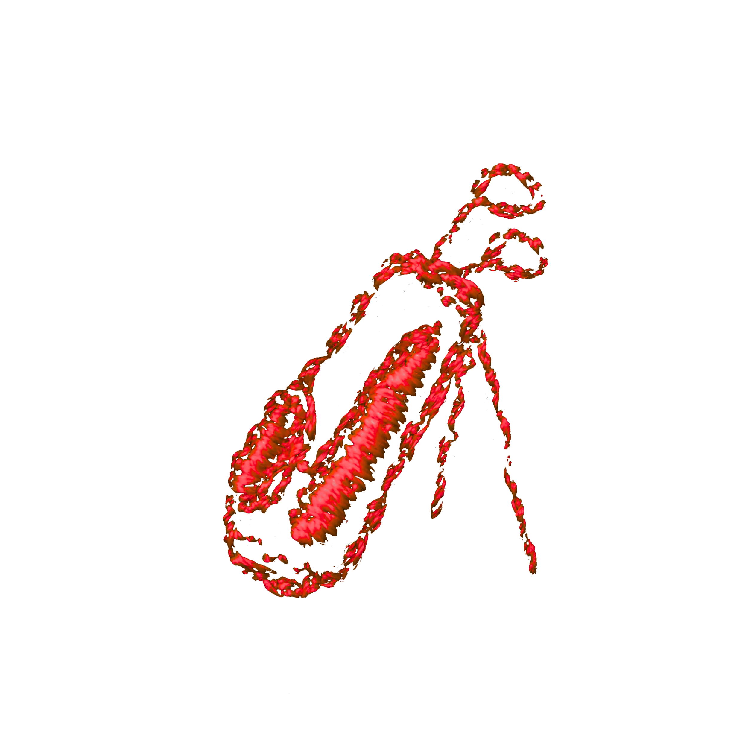 Calze Sacca Golf Personalizzate con iniziali ricamate | 100% Made in Italy | Individual Socks